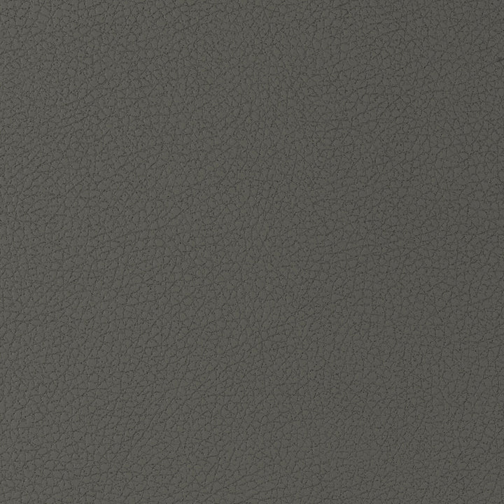Genslar-21 by Kravet Design Fabric POLYURETHANE - 100% Japan HEAVY Horizontal: 0 and Vertical: 0 54 - Fabric Carolina -