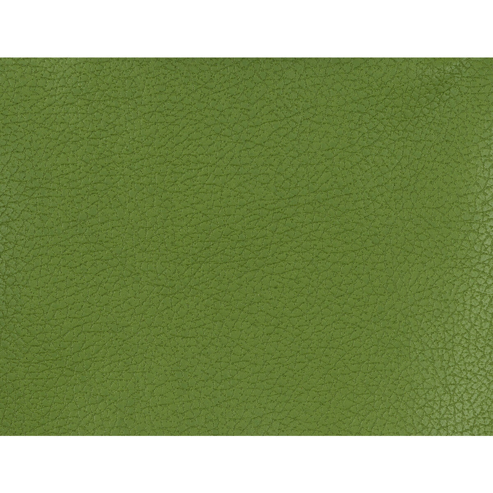 Genslar-333 by Kravet Design Fabric POLYURETHANE - 100% Japan HEAVY Horizontal: 0 and Vertical: 0 54 - Fabric Carolina -