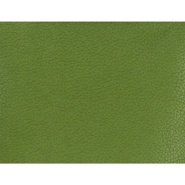 Genslar-333 by Kravet Design Fabric POLYURETHANE - 100% Japan HEAVY Horizontal: 0 and Vertical: 0 54 - Fabric Carolina -