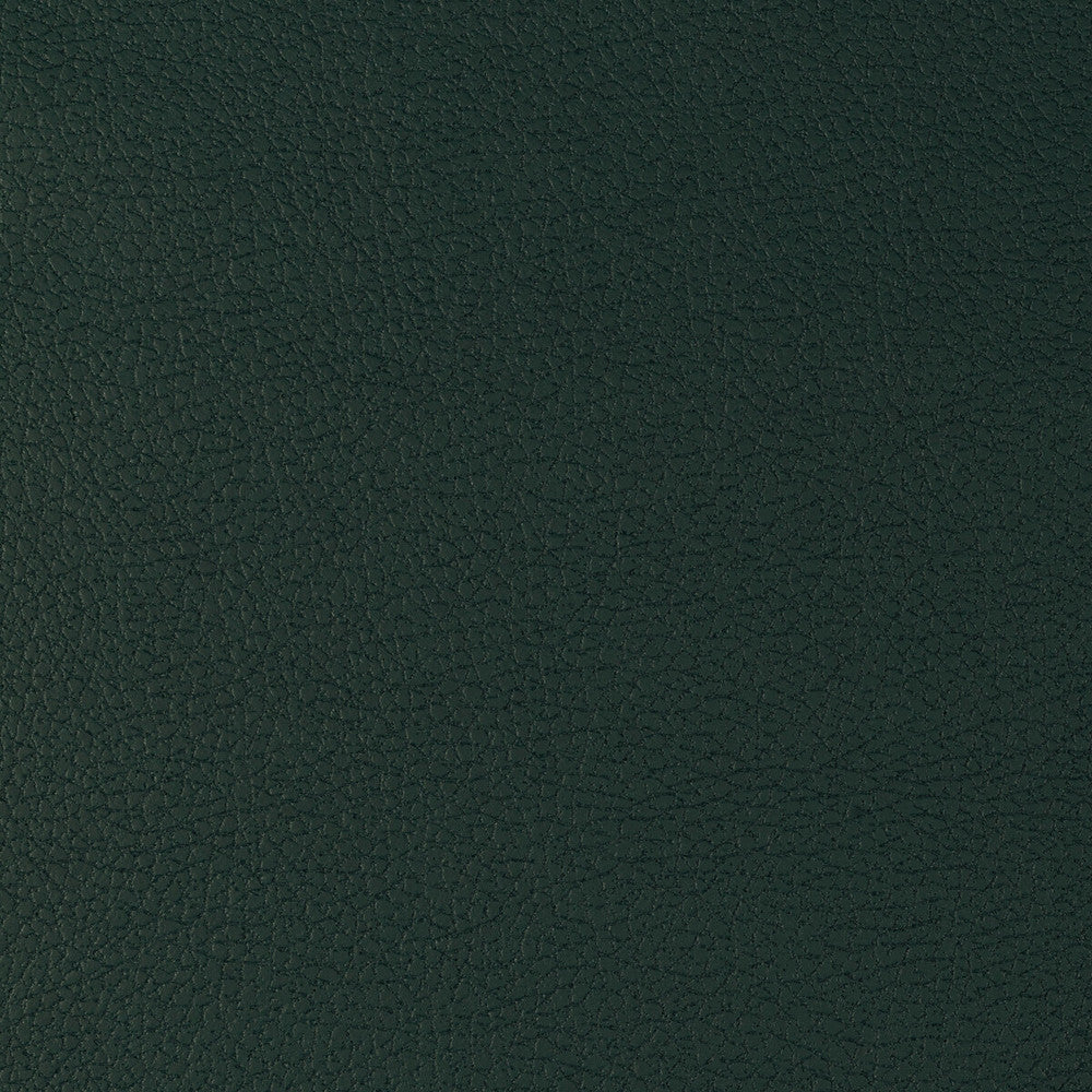 Genslar-35 by Kravet Design Fabric POLYURETHANE - 100% Japan HEAVY Horizontal: 0 and Vertical: 0 54 - Fabric Carolina -