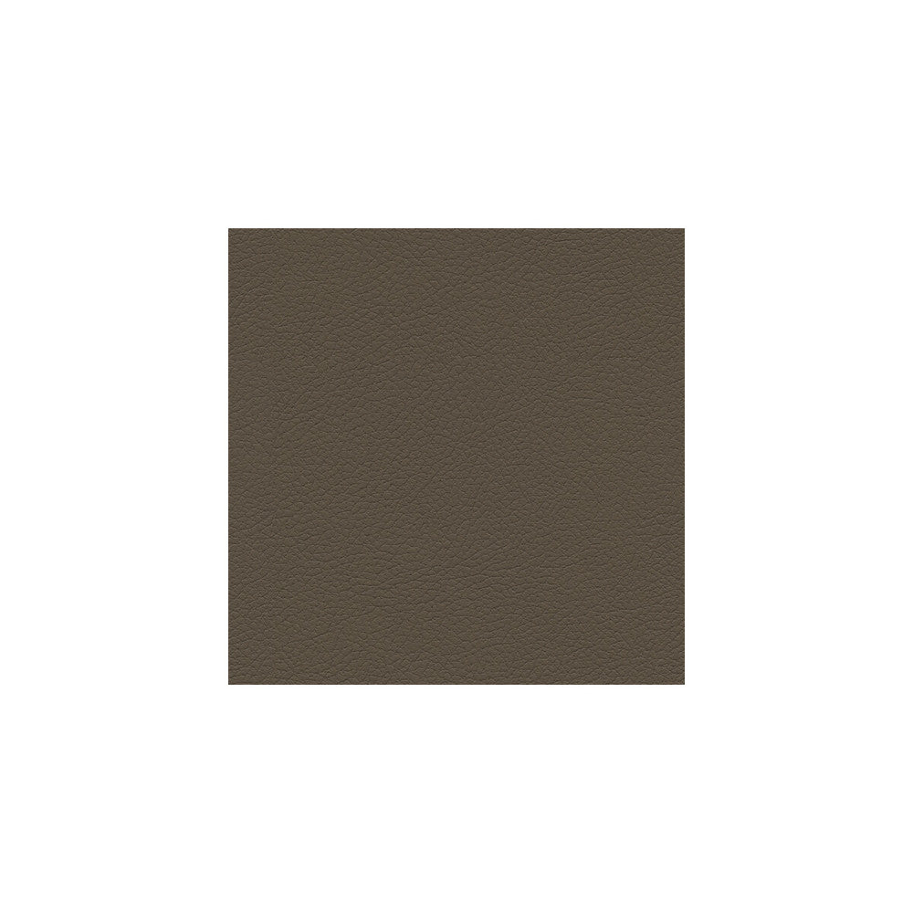 Genslar-611 by Kravet Design Fabric POLYURETHANE - 100% Japan HEAVY Horizontal: 0 and Vertical: 0 54 - Fabric Carolina -