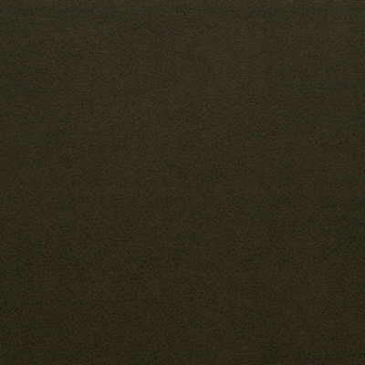 Genslar-66 by Kravet Design Fabric ULTRALEATHER PLUS IV POLYURETHANE - 100% Japan HEAVY Horizontal: 0 and Vertical: 0 54 - Fabric Carolina -