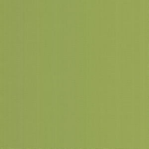 Georgia Kiwi by Norbar Fabric SUNSHINE 100% HIGH UV POLYESTER USA 56 - Fabric Carolina -