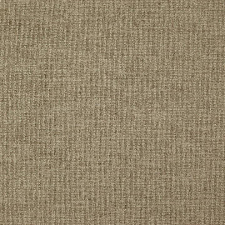Grenoble # 30 Stucco by Maxwell Fabric Weave Works V 50% POLYESTER/50% COTTON INDIA 55" - Fabric Carolina -
