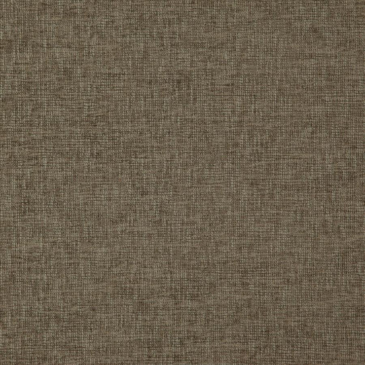 Grenoble # 35 Gargoyle by Maxwell Fabric Weave Works V 50% POLYESTER/50% COTTON INDIA 55" - Fabric Carolina -
