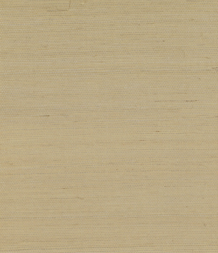 Sisal Bisque by Seabrook Wallpaper Pelican Grasscloth China 72 0" 36" - Fabric Carolina -
