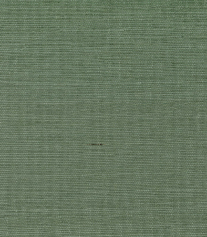 Sisal Lichen Green by Seabrook Wallpaper Pelican Grasscloth China 72 0" 36" - Fabric Carolina -