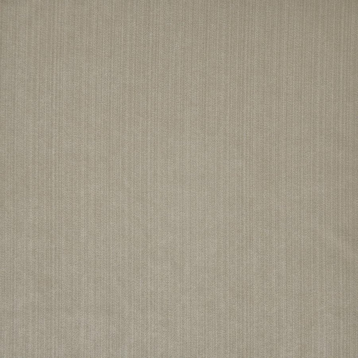 Geraldine # 773 Pewter by Maxwell Fabric Velvet Room 93% POLYESTER/7% RAYON SOUTH KOREA H-4.5" 55" - Fabric Carolina -
