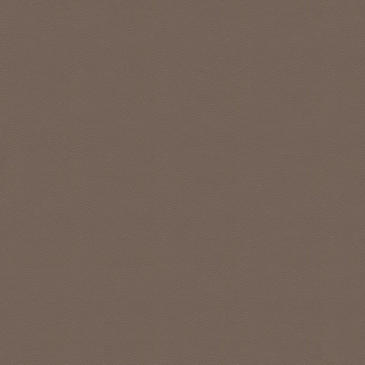 G-Grain 7221 Med. Parchment by Softside Fabric 100% Polyvinyl Chloride (PVC) Columbia 50,000 Double Rubs (Wyzenbeek) </p><p>Repeat: Horizontal: and Vertical: 54" (137 cm) - Fabric Carolina -