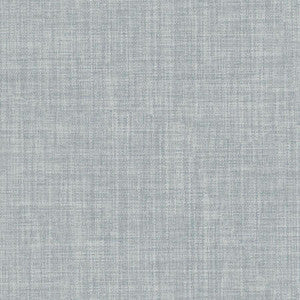 Galileo # 211 Mouse by Maxwell Fabric