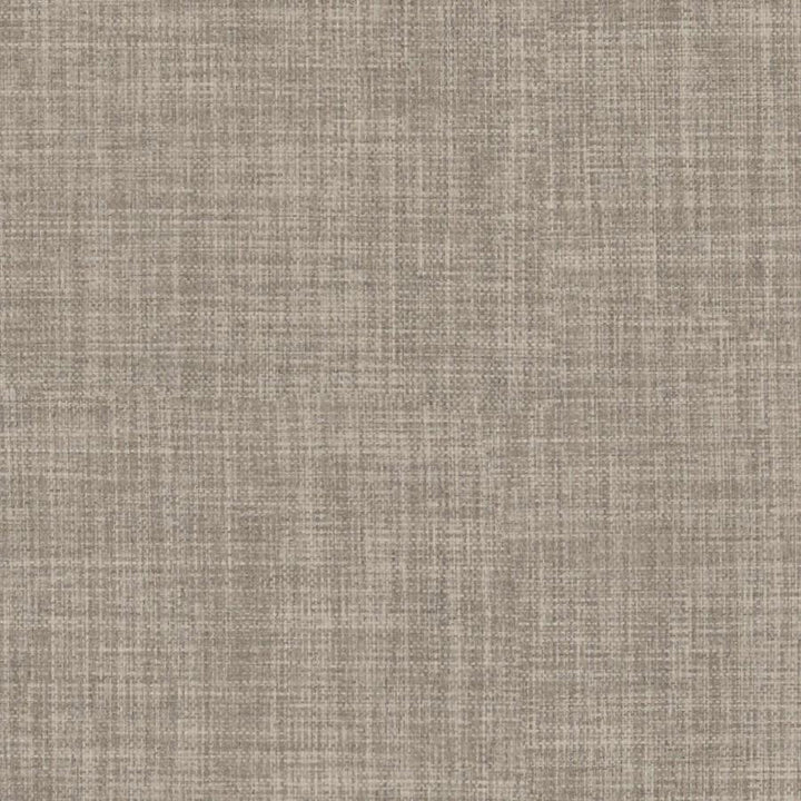 Galileo # 220 Mushroom by Maxwell Fabric Blackout Ii FACE: 100% POLYESTER
BACKING: 100% ACRYLIC CHINA 55" - Fabric Carolina -