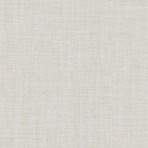 Galileo # 228 Fog by Maxwell Fabric