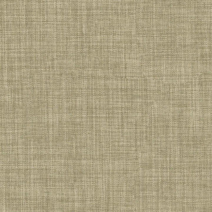 Galileo # 245 Linden by Maxwell Fabric Blackout Ii FACE: 100% POLYESTER
BACKING: 100% ACRYLIC CHINA 55" - Fabric Carolina -
