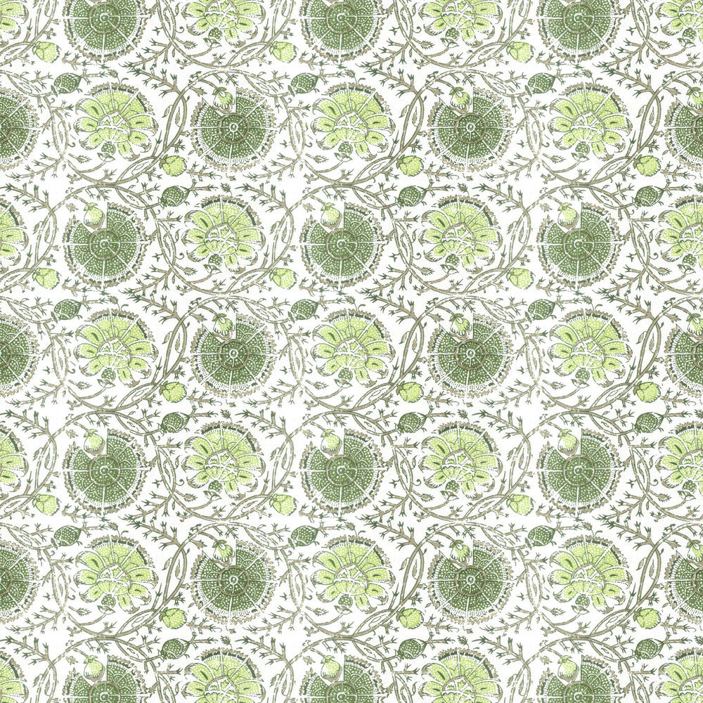 Gibertini 3 Apple by Stout Fabric Stout Fabric Gibertini 3 AppleFabric Rainbow Library Spring/Evergreen 100%Cot India </p><p>Repeat: H: 9, V: 1.75 56 in - Fabric Carolina -