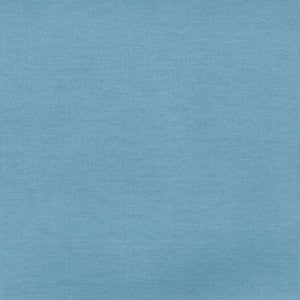Gibson Chambray 479 by Norbar Fabric See Sample 100% BRUSHED COTTON S. KOREA 51,000 WYZENBEEK 58" - Fabric Carolina -