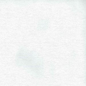 Gibson Cloud 020 by Norbar Fabric See Sample 100% BRUSHED COTTON S. KOREA 51,000 WYZENBEEK 58" - Fabric Carolina -