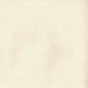 Gibson Sugarcane 025 by Norbar Fabric See Sample 100% BRUSHED COTTON S. KOREA 51,000 WYZENBEEK 58" - Fabric Carolina -