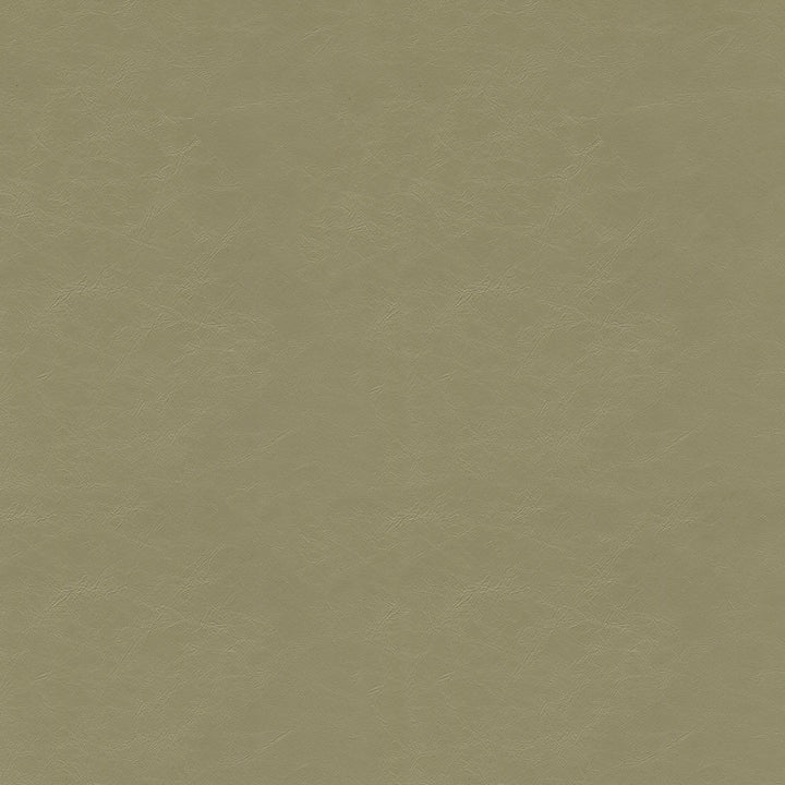 Dew Drop 6006 Mushroom by GUARDIAN Fabric 100% Polyvinyl Chloride (PVC) CN 1,500,000 Double Rubs (Wyzenbeek) </p><p>Repeat: Horizontal: and Vertical: 54 in. (137 cm) - Fabric Carolina -