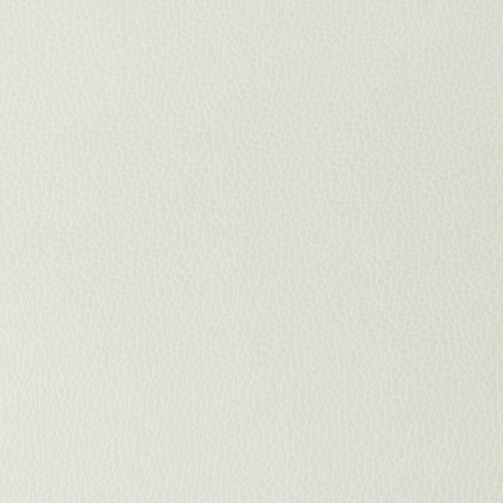 Gillian-101 by Kravet Design Fabric POLYURETHANE - 100% Japan HEAVY Horizontal: 0 and Vertical: 0 54 - Fabric Carolina -