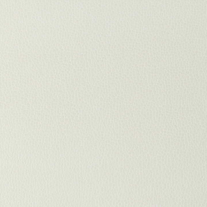 Gillian-101 by Kravet Design Fabric POLYURETHANE - 100% Japan HEAVY Horizontal: 0 and Vertical: 0 54 - Fabric Carolina -