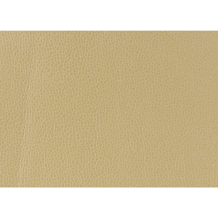 Gillian-1111 by Kravet Design Fabric POLYURETHANE - 100% Japan HEAVY Horizontal: 0 and Vertical: 0 54 - Fabric Carolina -