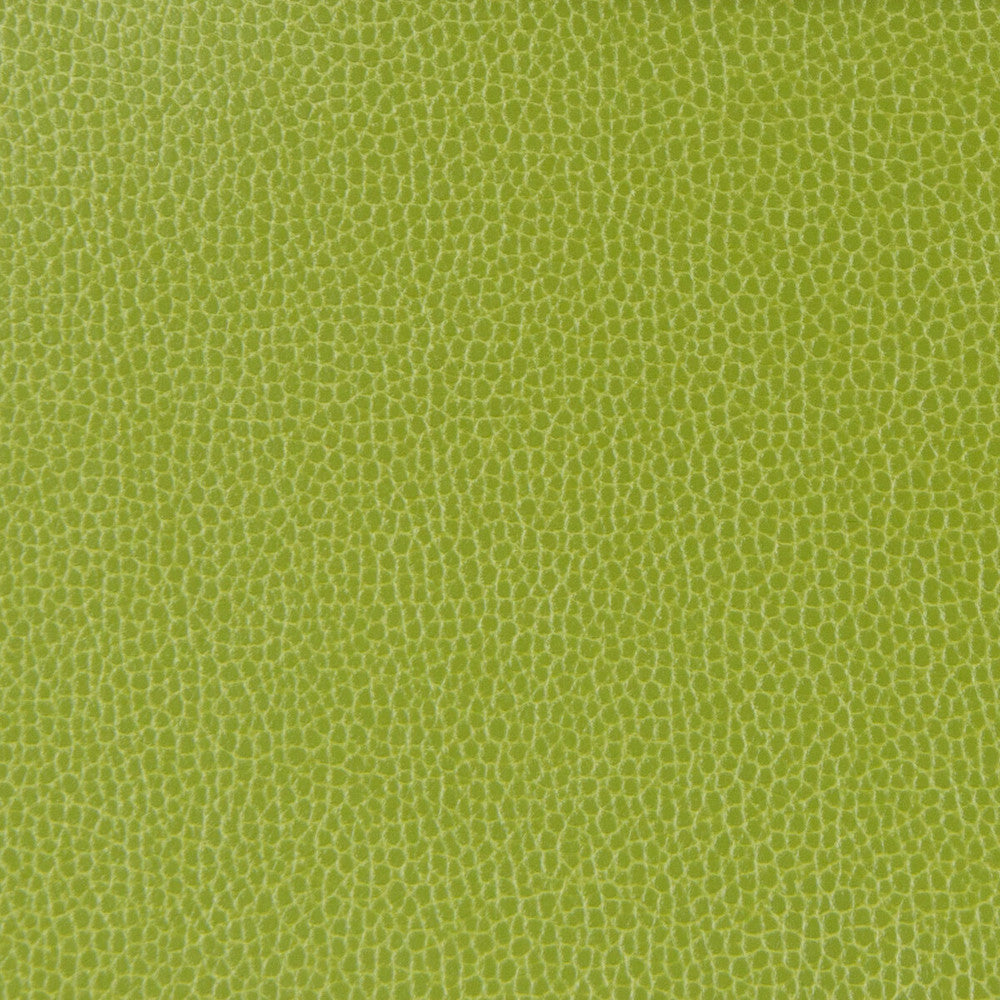 Gillian-113 by Kravet Design Fabric POLYURETHANE - 100% Japan HEAVY Horizontal: 0 and Vertical: 0 54 - Fabric Carolina -