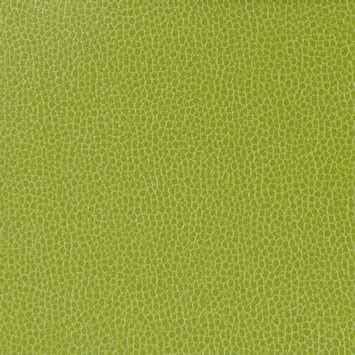 Gillian-113 by Kravet Design Fabric ULTRALEATHER PLUS IV POLYURETHANE - 100% Japan HEAVY Horizontal: 0 and Vertical: 0 54 - Fabric Carolina -