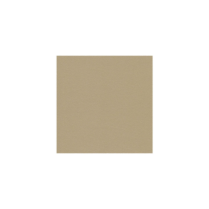 Gillian-116 by Kravet Design Fabric ULTRALEATHER PLUS IV POLYURETHANE - 100% Japan HEAVY Horizontal: 0 and Vertical: 0 54 - Fabric Carolina -