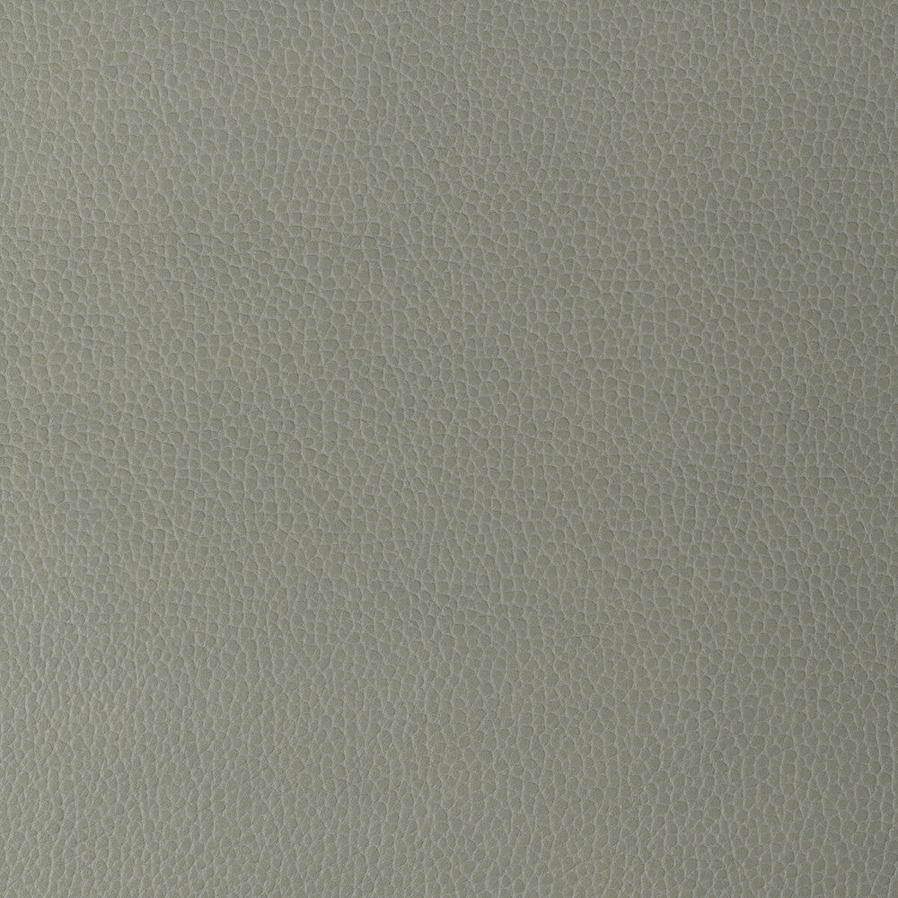 Gillian-11 by Kravet Design Fabric POLYURETHANE - 100% Japan HEAVY Horizontal: 0.67 and Vertical: 0.63 54 - Fabric Carolina -