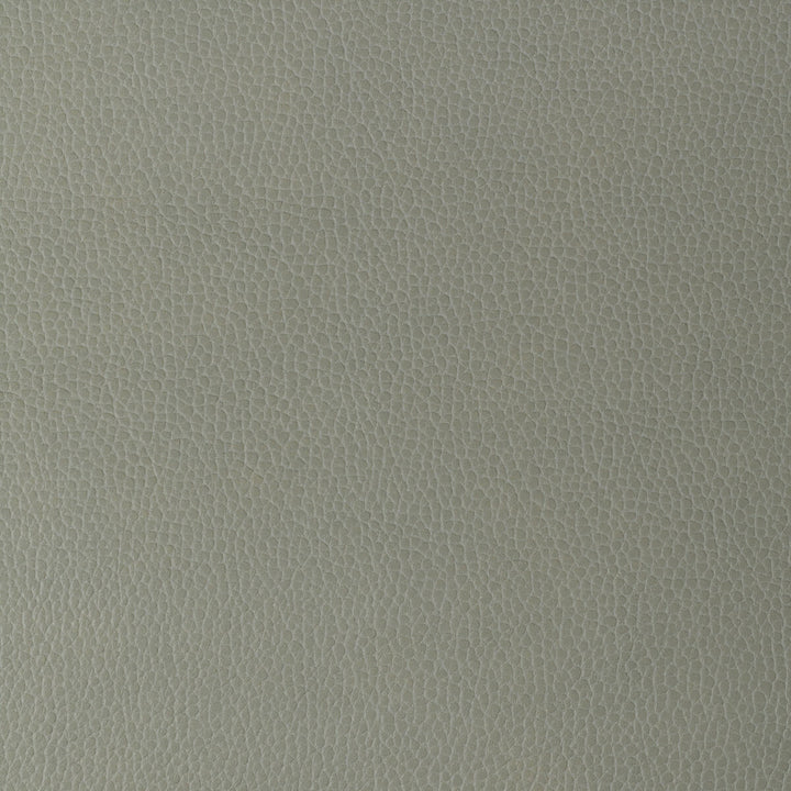 Gillian-11 by Kravet Design Fabric POLYURETHANE - 100% Japan HEAVY Horizontal: 0.67 and Vertical: 0.63 54 - Fabric Carolina -