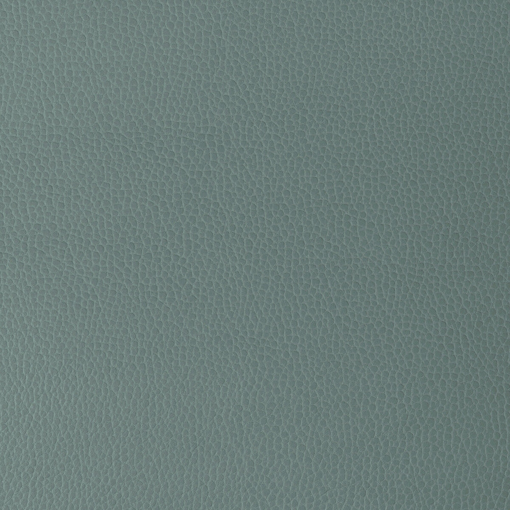Gillian-15 by Kravet Design Fabric POLYURETHANE - 100% Japan HEAVY Horizontal: 0 and Vertical: 0 54 - Fabric Carolina -