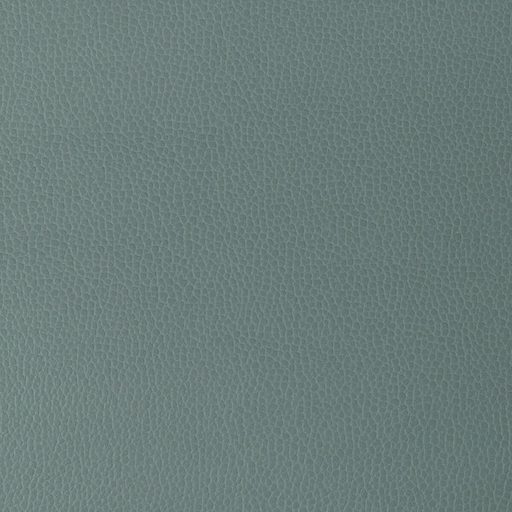 Gillian-15 by Kravet Design Fabric POLYURETHANE - 100% Japan HEAVY Horizontal: 0 and Vertical: 0 54 - Fabric Carolina -