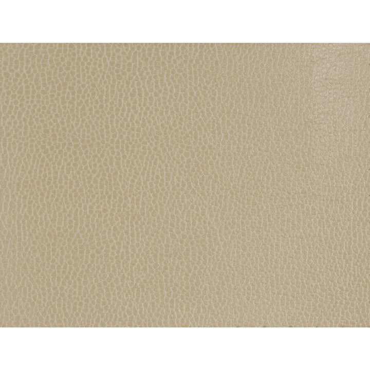 Gillian-1616 by Kravet Design Designer Fabric POLYURETHANE - 100% Japan HEAVY Horizontal: 0 and Vertical: 0 54 - Swanky Fabrics -