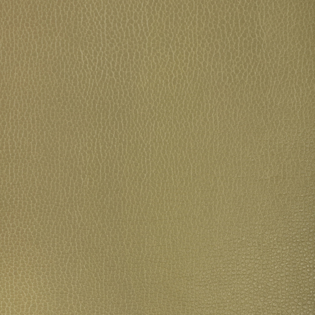 Kravet Design - Gillian-23 By Kravet Design Fabric