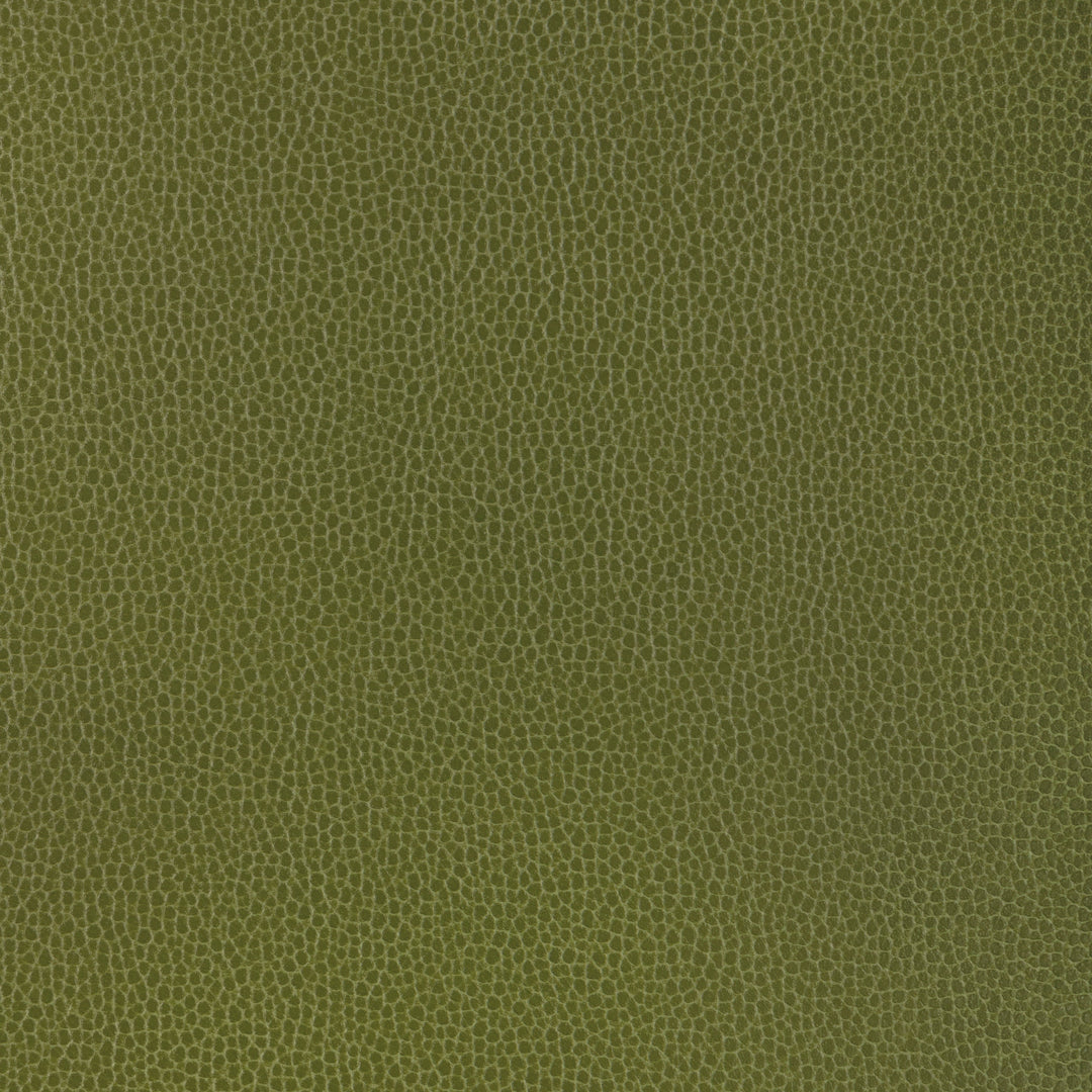 Kravet Design - Gillian-33 By Kravet Design Fabric