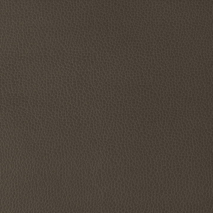Kravet Design Gillian-6666 by Kravet Design Fabric Kravet Design Fabric Kravet Design Gillian-6666Fabric POLYURETHANE - 100% Japan </p><p>Repeat: H: 0, V: 0 54 - Fabric Carolina -