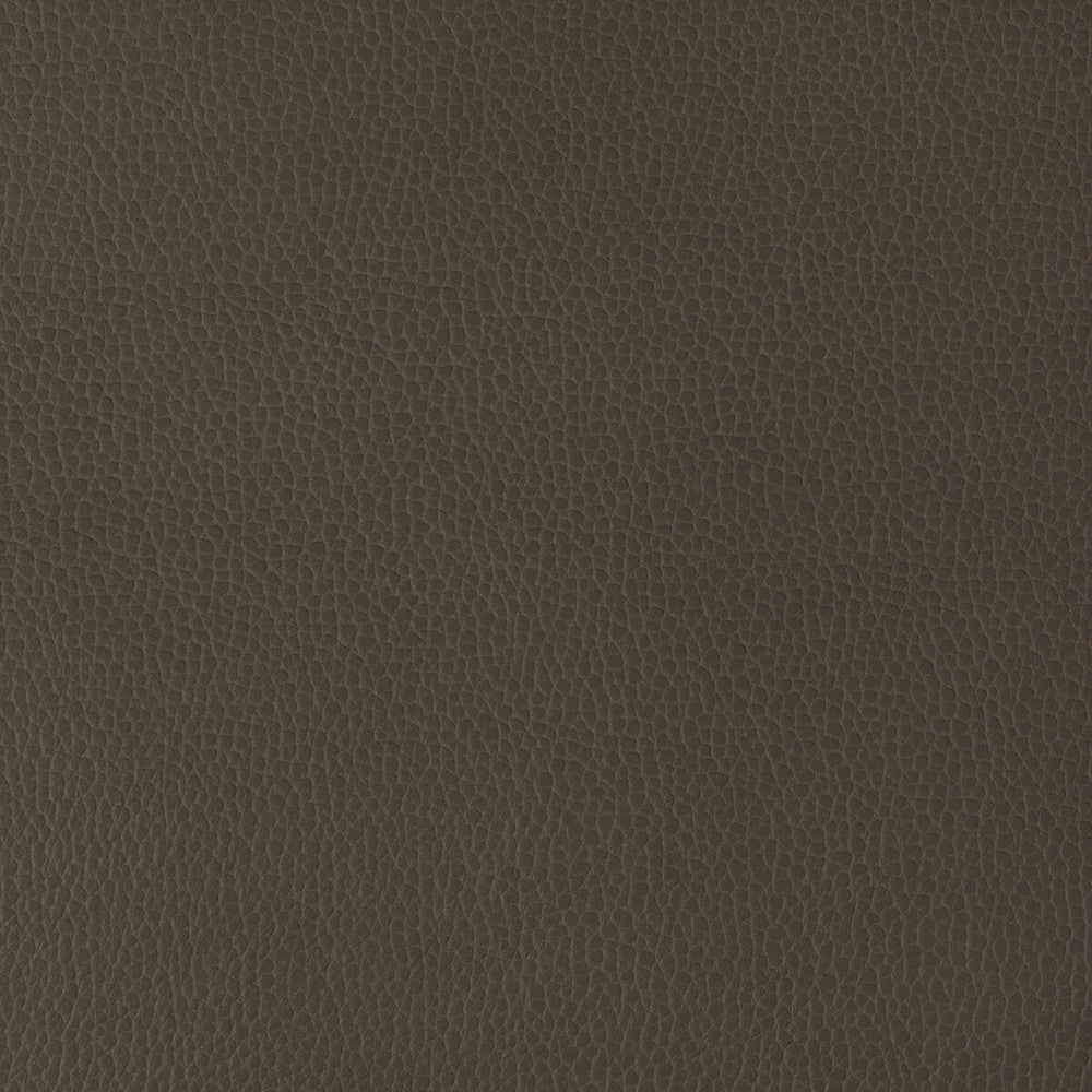 Gillian-6666 by Kravet Design Fabric POLYURETHANE - 100% Japan HEAVY Horizontal: 0 and Vertical: 0 54 - Fabric Carolina -