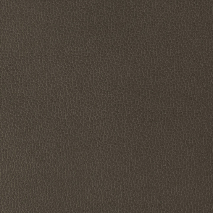 Kravet Design Gillian-6666 by Kravet Design Fabric Kravet Design Fabric Kravet Design Gillian-6666Fabric POLYURETHANE - 100% Japan </p><p>Repeat: H: 0, V: 0 54 - Fabric Carolina -