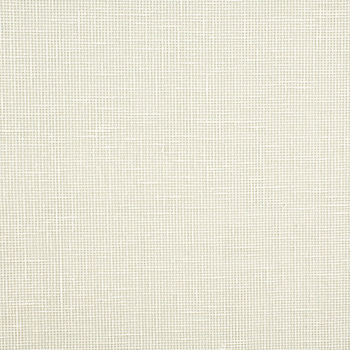Gilroy 11 Cement by Stout Fabric COLOR MY WINDOW FOG/SHADOW 91%POL 9%COT INDIA Horizontal: 0 and Vertical: 0 55 in - Fabric Carolina -