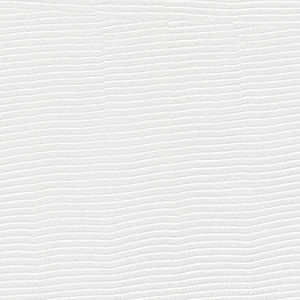 Glyph-Nj # 1024 Zen by Maxwell Fabric