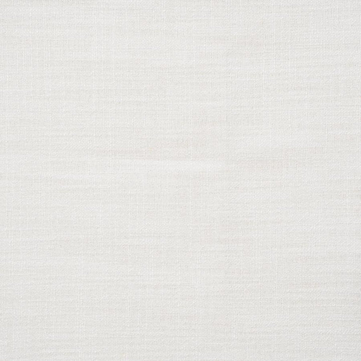 Giorgio # 102 Snow by Maxwell Fabric Wide Width Basics Ii 100% RECYCLED POLYESTER INDIA 118" - Fabric Carolina -