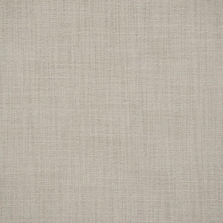 Giorgio # 123 Ash by Maxwell Designer Fabric Wide Width Basics Ii 100% RECYCLED POLYESTER INDIA 118" - Swanky Fabrics -