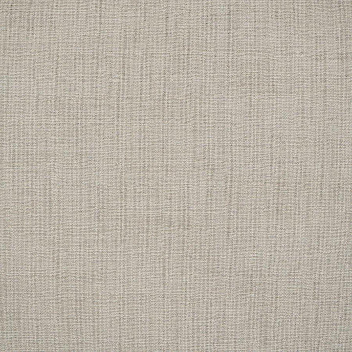 Giorgio # 123 Ash by Maxwell Fabric Wide Width Basics Ii 100% RECYCLED POLYESTER INDIA 118" - Fabric Carolina -