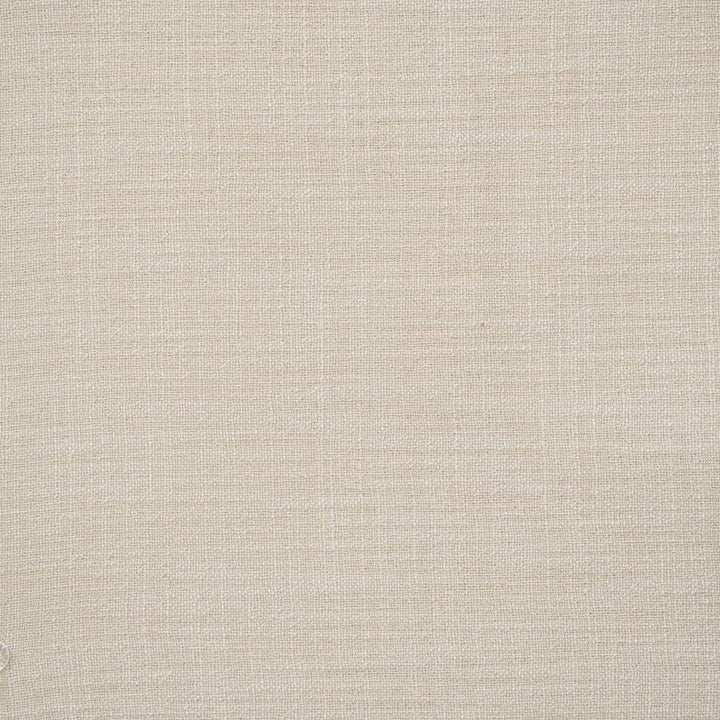 Giorgio # 129 Antique by Maxwell Fabric Wide Width Basics Ii 100% RECYCLED POLYESTER INDIA 118" - Fabric Carolina -