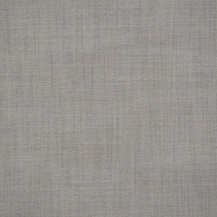 Giorgio # 138 Mouse by Maxwell Fabric Wide Width Basics Ii 100% RECYCLED POLYESTER INDIA 118" - Fabric Carolina -