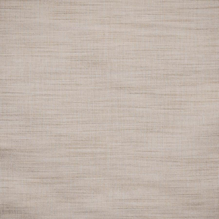 Gesso # 615 Parchment by Maxwell Designer Fabric Color Theory-Vol.Viii Tigerseye 100% POLYESTER INDIA 54" - Swanky Fabrics -