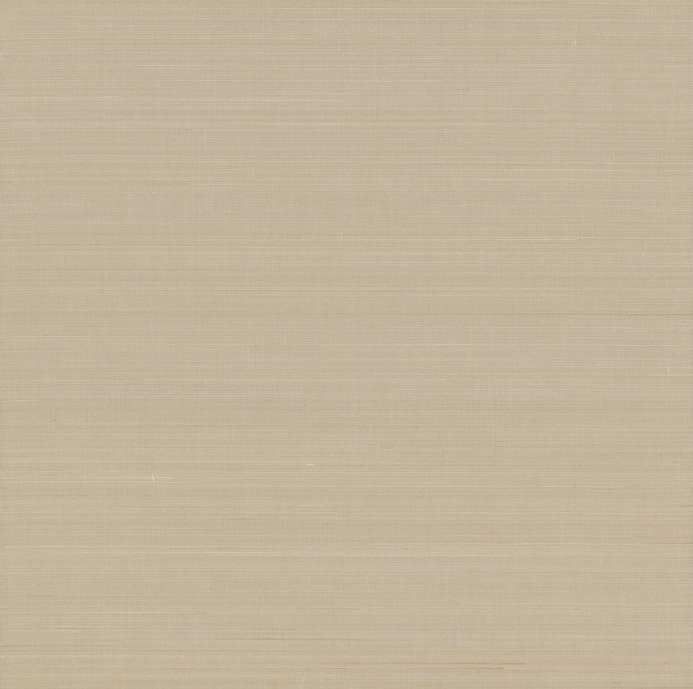 Abaca Weave Beige Wallpaper by York Wallcoverings Grasscloth II Covers about 72 square feet 36-in by 24-ft long roll Unpasted 0 - Fabric Carolina -