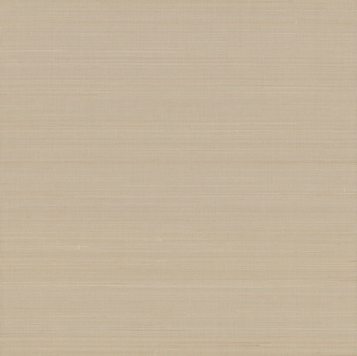 Abaca Weave Beige Wallpaper by York Wallcoverings Grasscloth II Covers about 72 square feet 36-in by 24-ft long roll Unpasted 0 - Fabric Carolina -