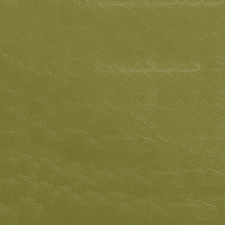 Glaze 007 Kiwi by ABBEYSHEA Fabric 100% Polyvinyl Chloride (PVC) China 100,000 Double Rubs (Wyzenbeek) </p><p>Repeat: Horizontal: and Vertical: 54" (137 cm) - Fabric Carolina -