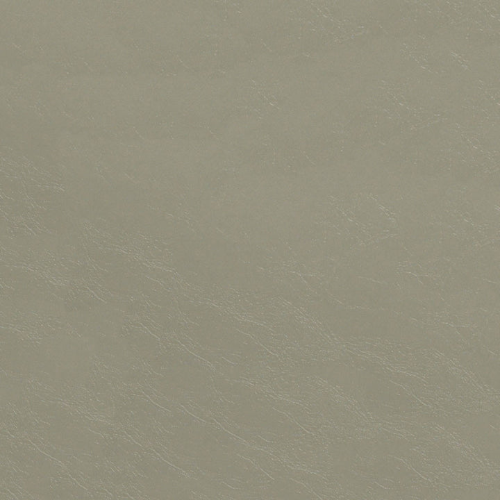 Glaze 104 Haze by ABBEYSHEA Fabric 100% Polyvinyl Chloride (PVC) China 100,000 Double Rubs (Wyzenbeek) </p><p>Repeat: Horizontal: and Vertical: 54" (137 cm) - Fabric Carolina -
